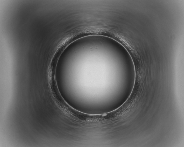 X0000116660679200912211508