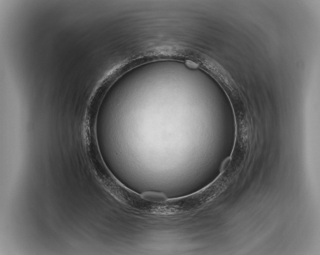 X0000116660680200912211508