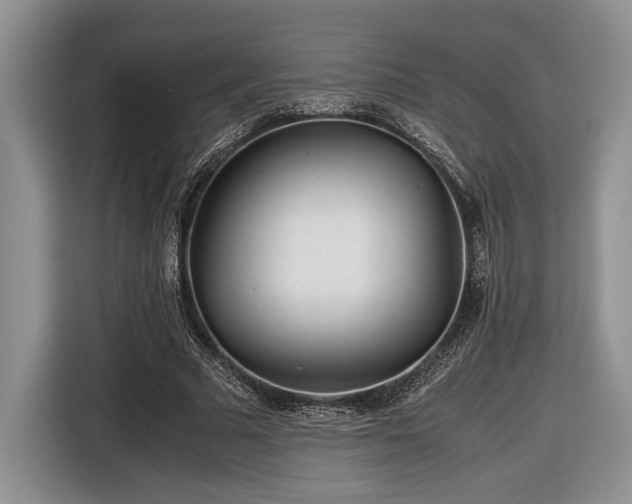 X0000116660681200912211508