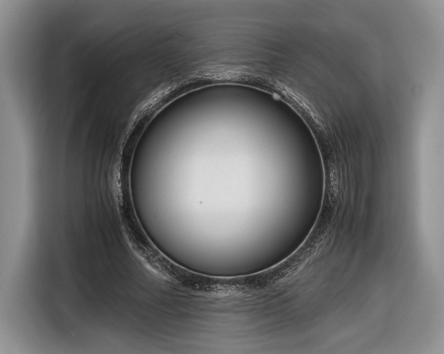 X0000116660682200912211508