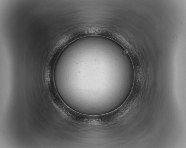 X0000116660683200912211508