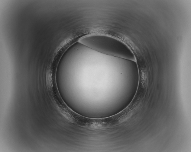 X0000116660684200912211508