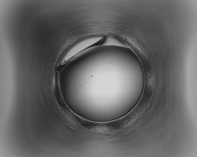 X0000116660685200912211508