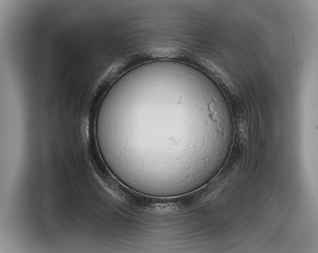 X0000116660686200912211508