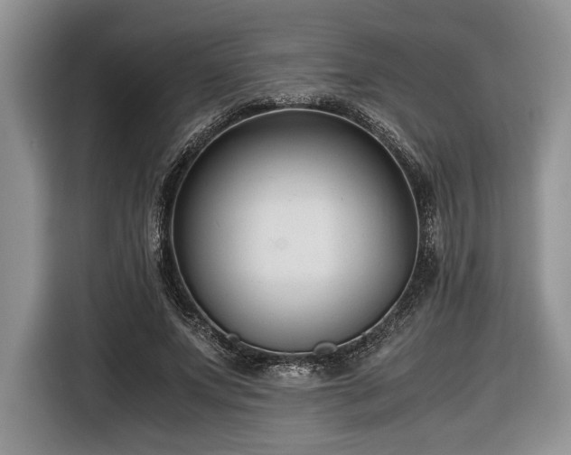 X0000116660687200912211507