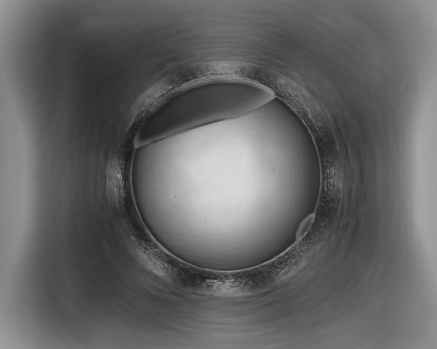 X0000116660688200912211507