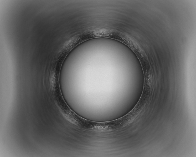 X0000116660690200912211507