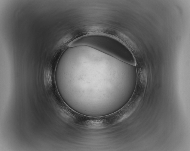 X0000116660692200912211507