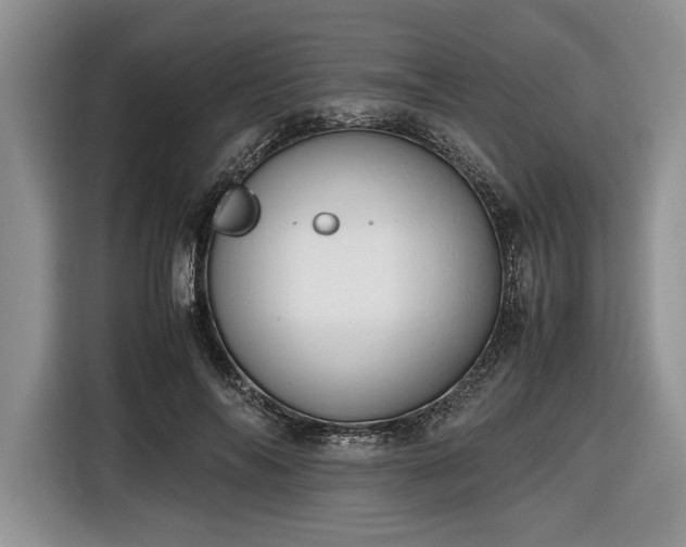 X0000116660694200912211507