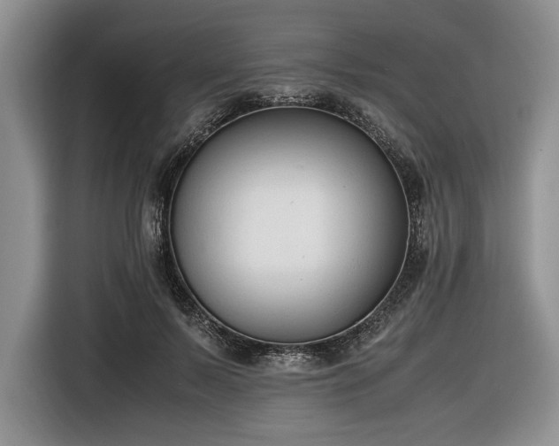 X0000116660695200912211507