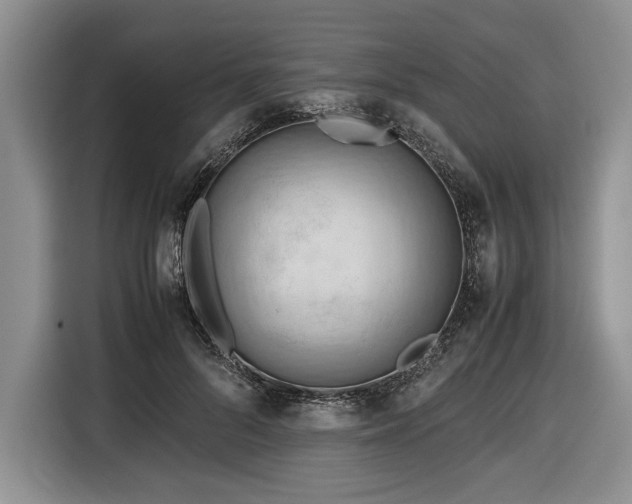 X0000116660696200912211507