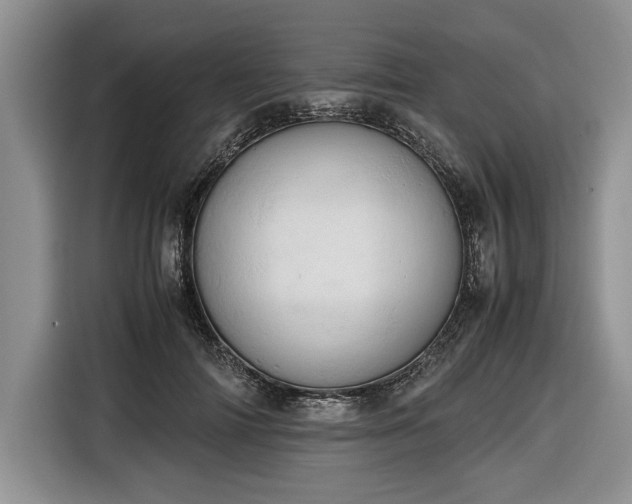 X0000116660698200912211507