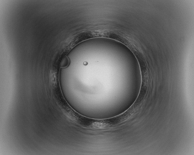 X0000116660699200912211507