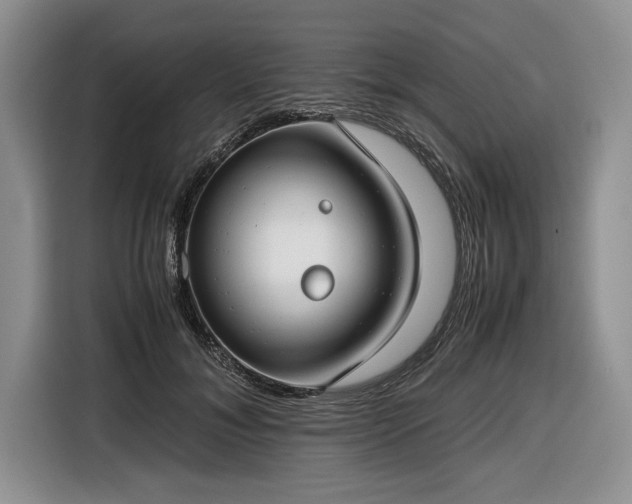 X0000116660700200912211507