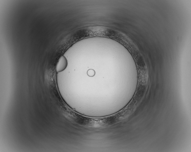 X0000116660701200912211507