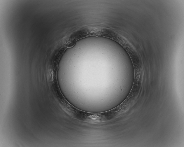 X0000116660703200912211507