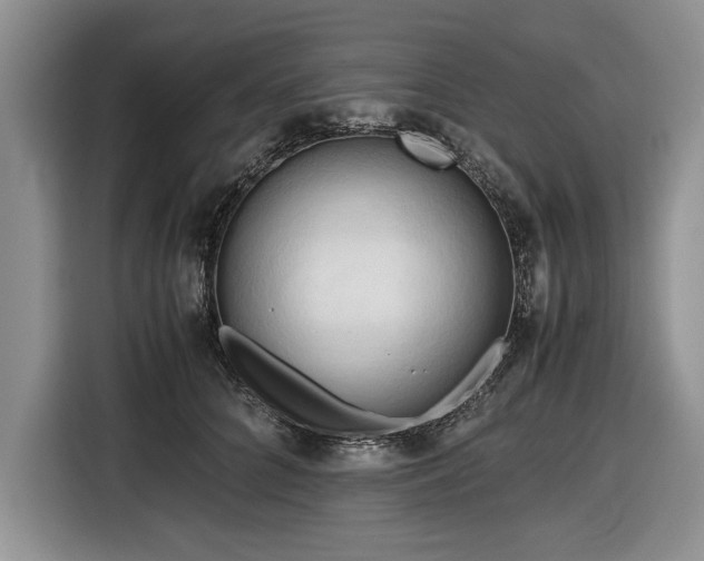 X0000116660704200912211507