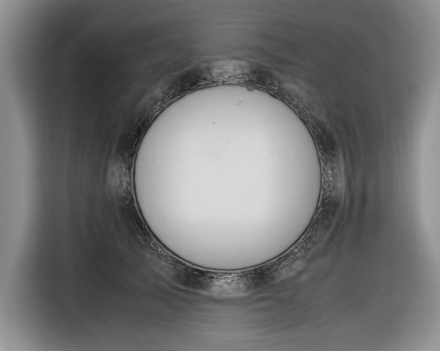 X0000116660705200912211507