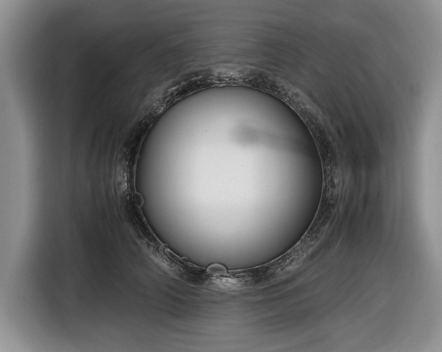 X0000116660706200912211507