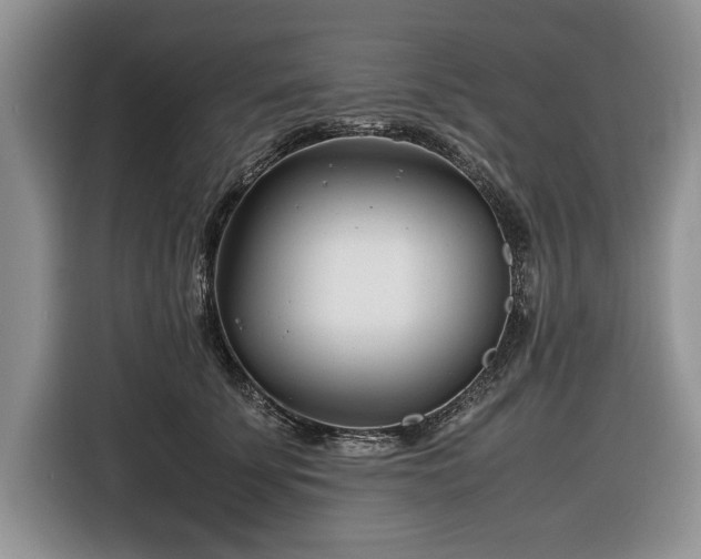 X0000116660707200912211507