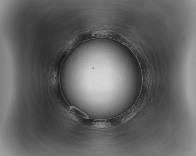 X0000116660708200912211507