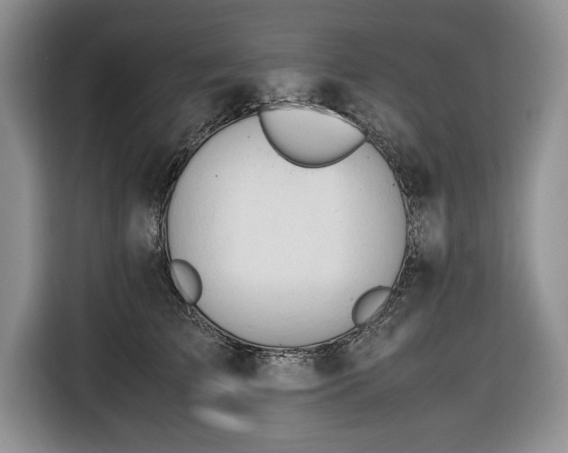 X0000116660709200912211507