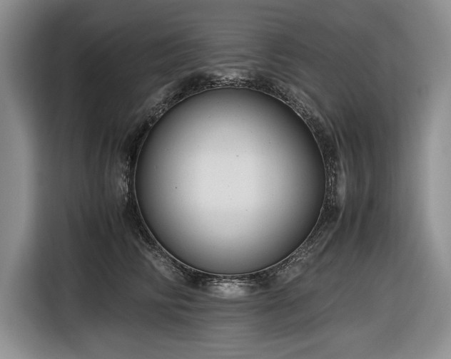 X0000116660710200912211507