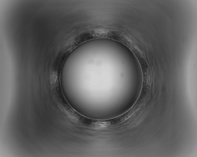 X0000116660711200912211507