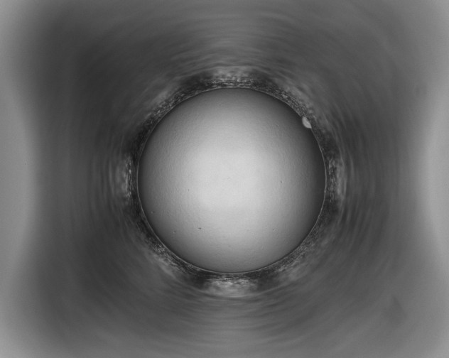 X0000116660712200912211507