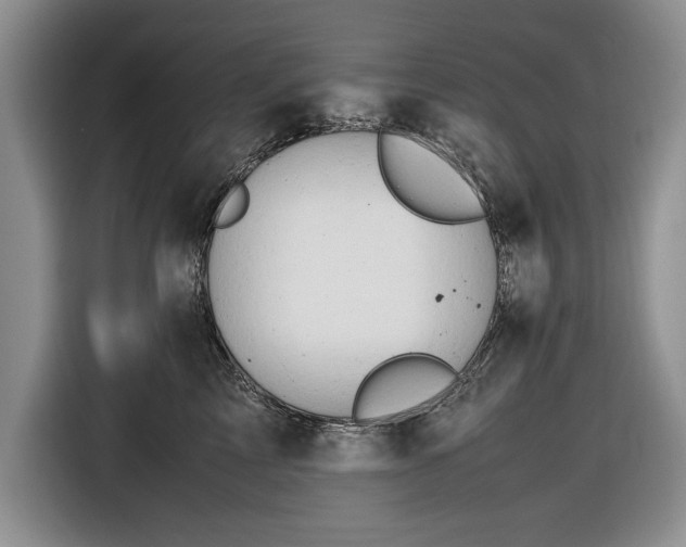 X0000116660713200912211507