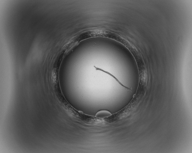 X0000116660715200912211507