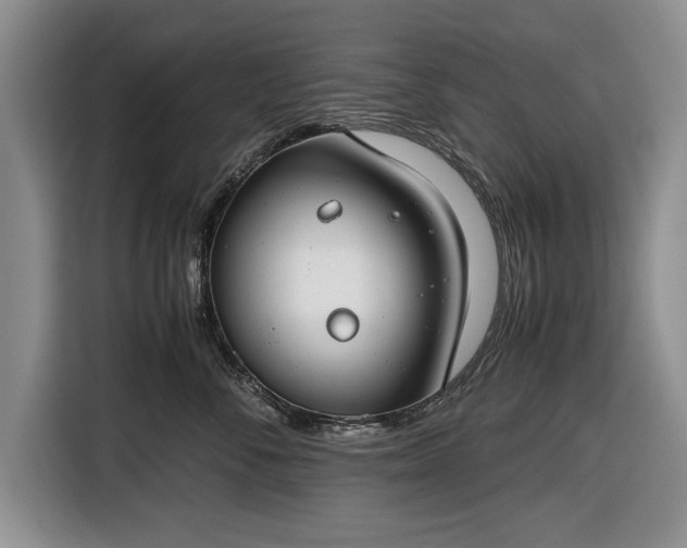 X0000116660716200912211507