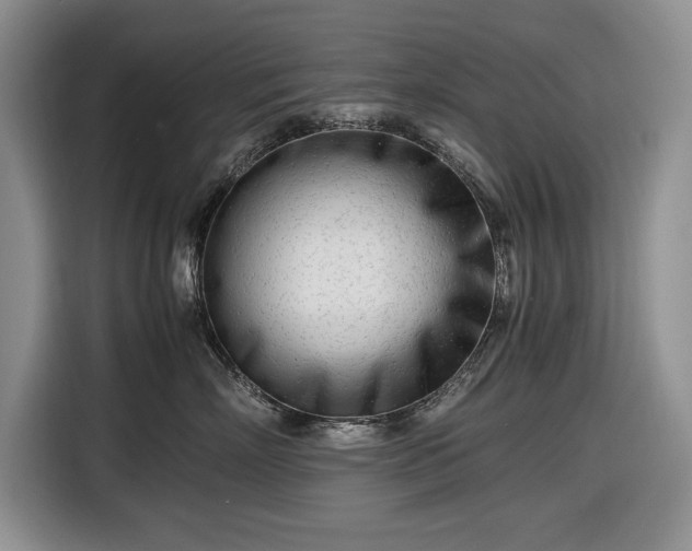 X0000116660718200912211507