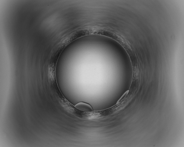 X0000116660719200912211507