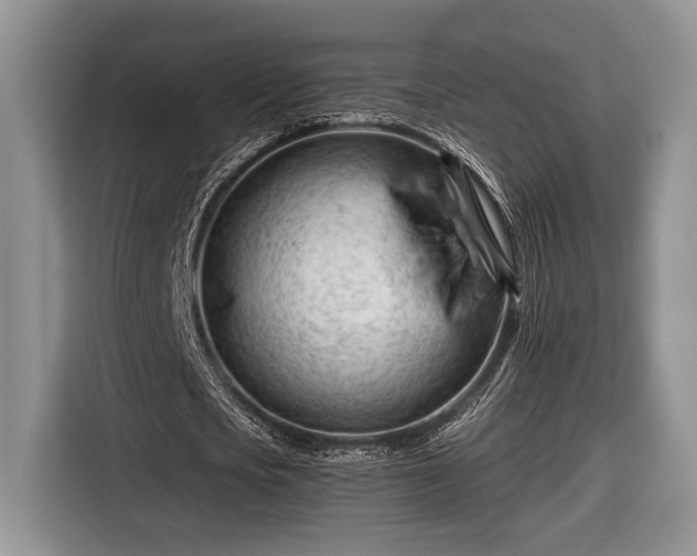 X0000116660721200912211506