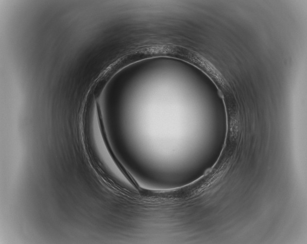 X0000116660722200912211506