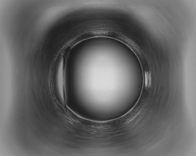 X0000116660723200912211506