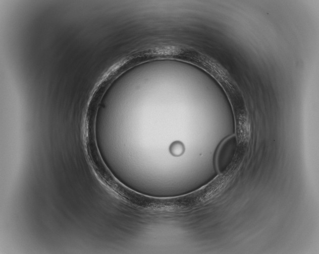 X0000116660726200912211507