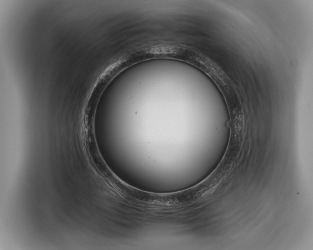 X0000116660727200912211507