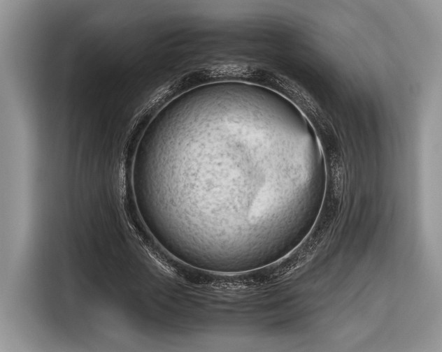 X0000116660729200912211507