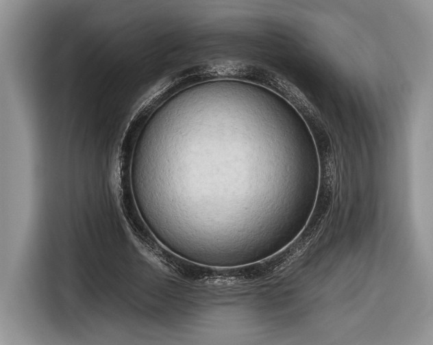 X0000116660730200912211507