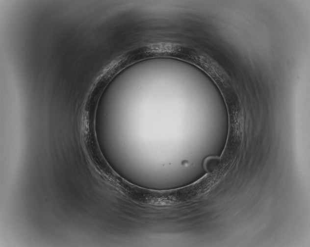 X0000116660731200912211507