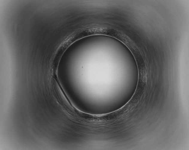 X0000116660735200912211507