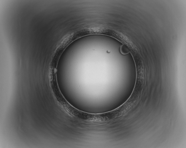 X0000116660738200912211507