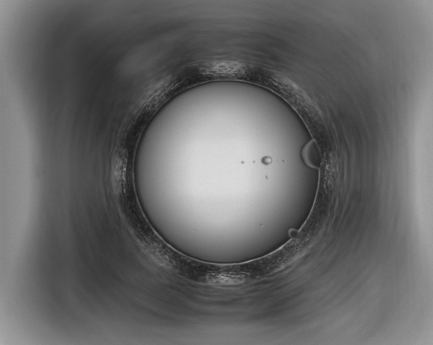 X0000116660739200912211507