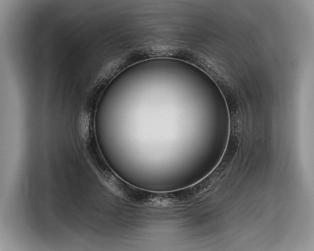 X0000116660742200912211507