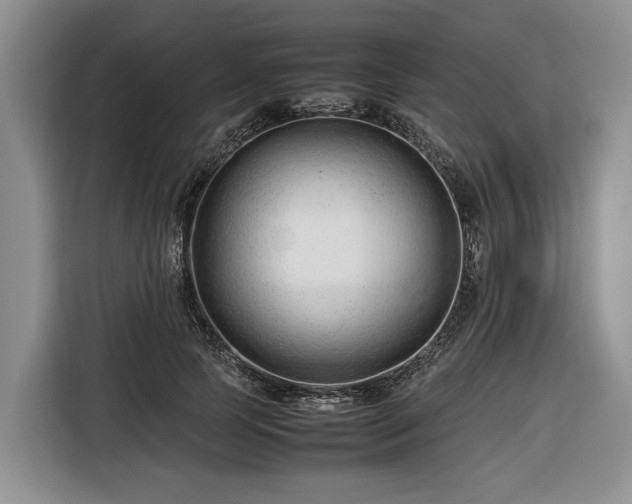 X0000116660745200912211507