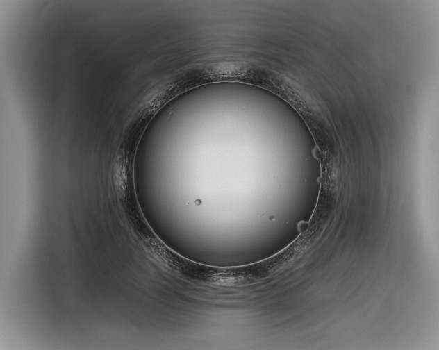 X0000116660746200912211507