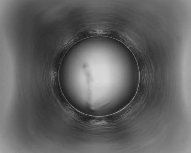 X0000116660747200912211507