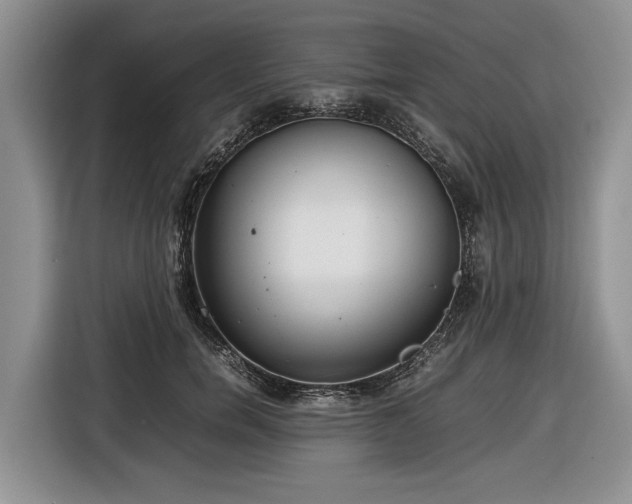 X0000116660750200912211507